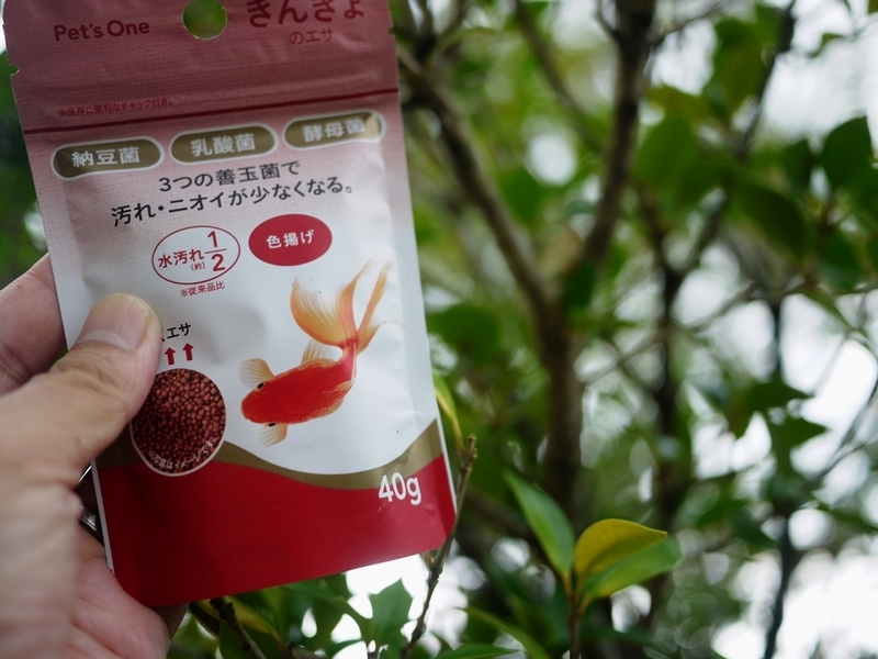イメージ 8