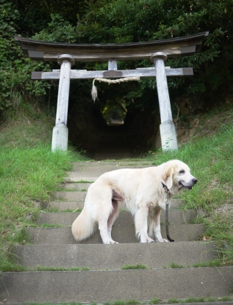 イメージ 2