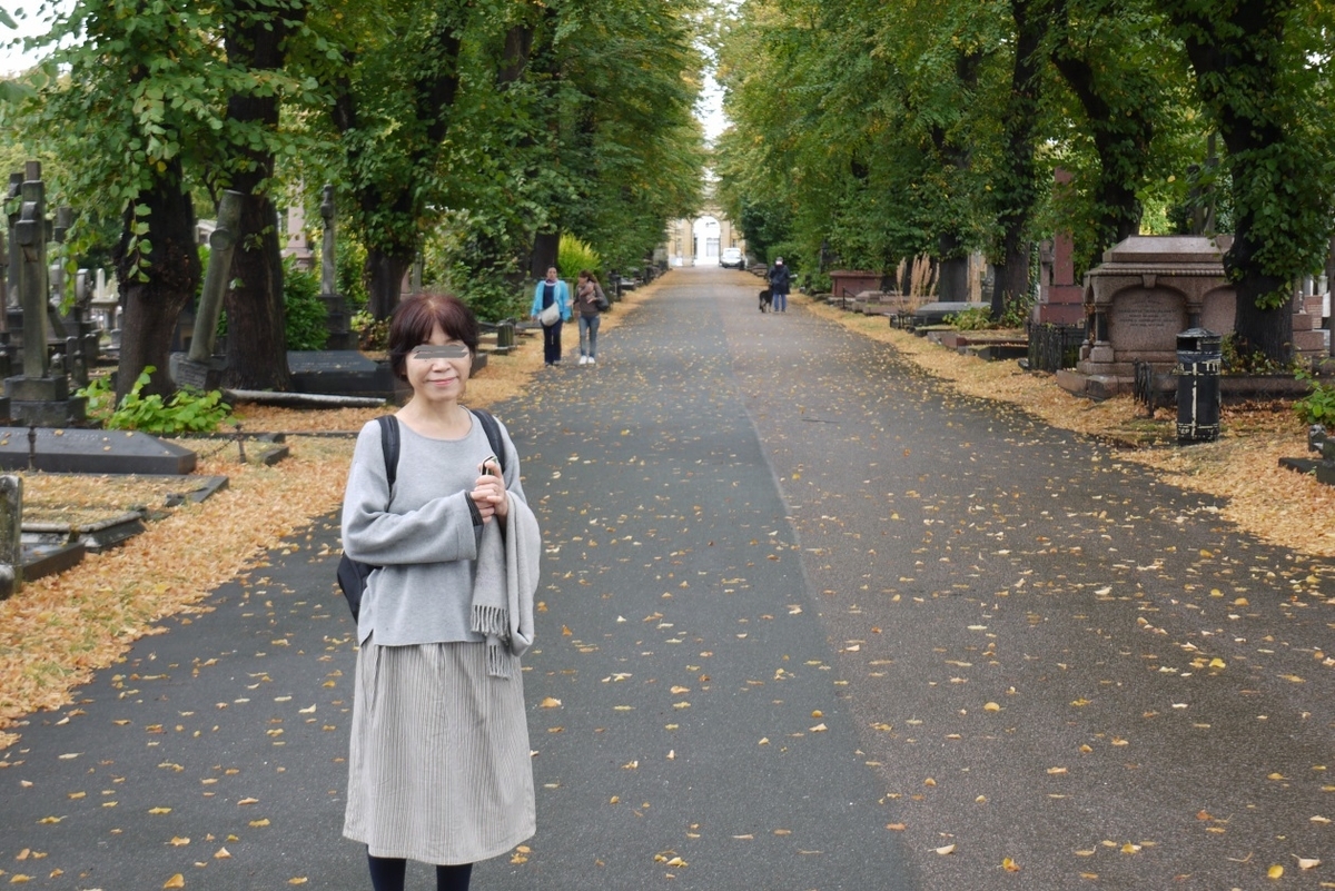 f:id:doinotouchan01:20191003211849j:plain