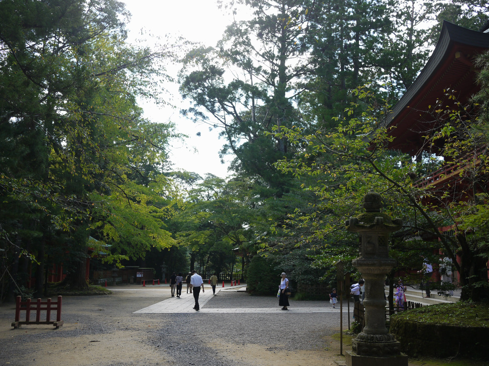 f:id:doinotouchan01:20191010220638j:plain