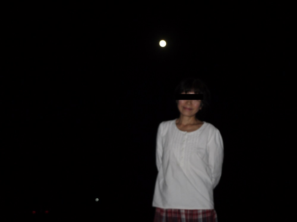 f:id:doinotouchan01:20191014163837j:plain