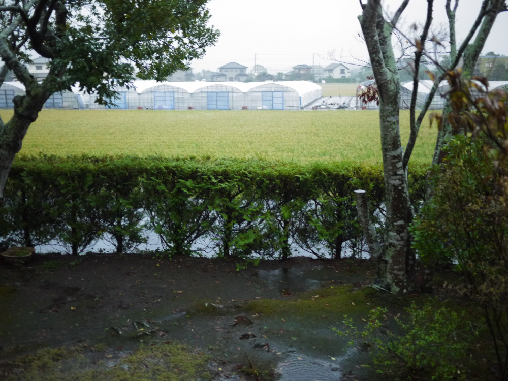 f:id:doinotouchan01:20191024212726j:plain