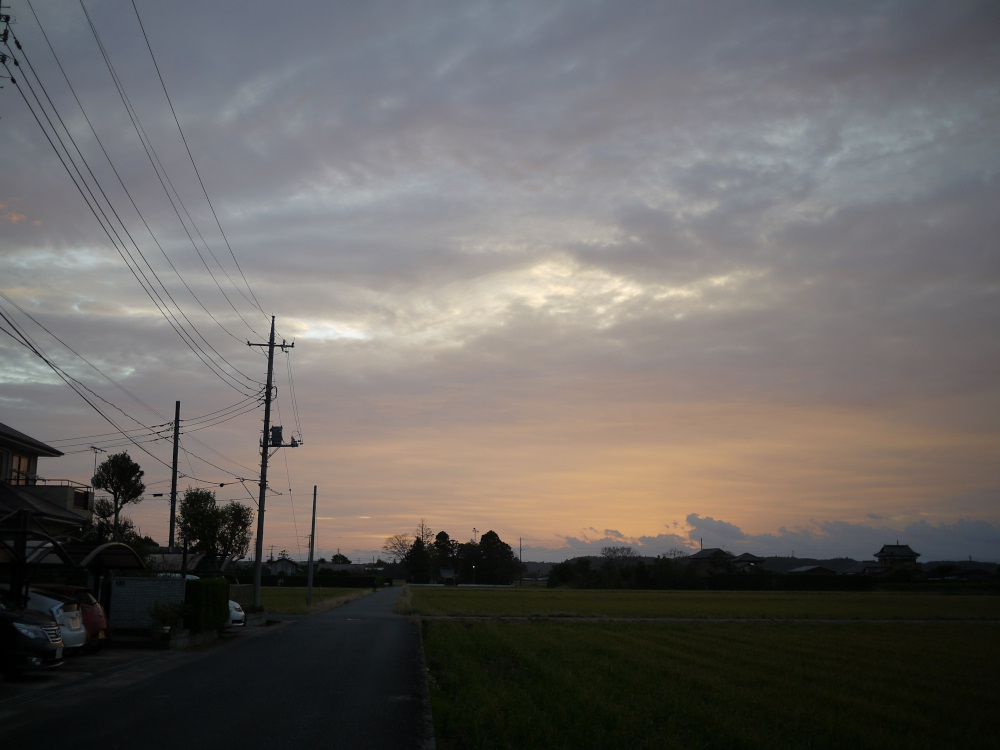 f:id:doinotouchan01:20191024213556j:plain