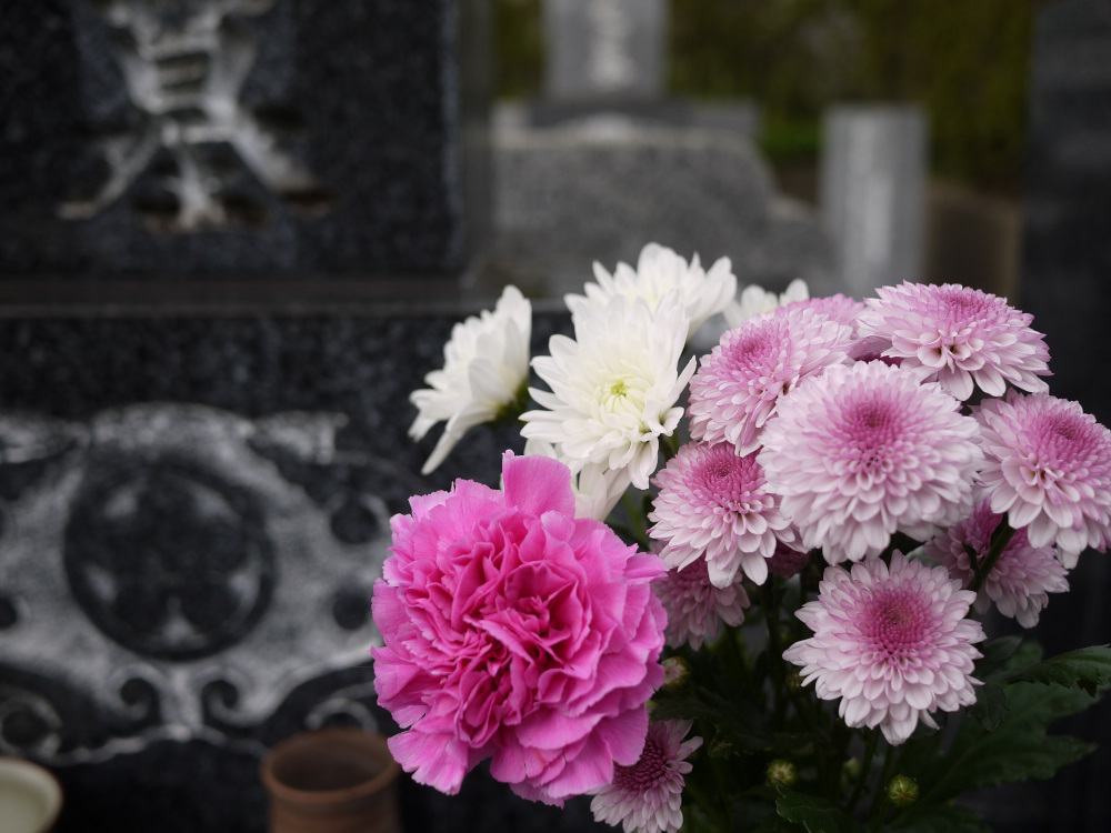 f:id:doinotouchan01:20191111205349j:plain