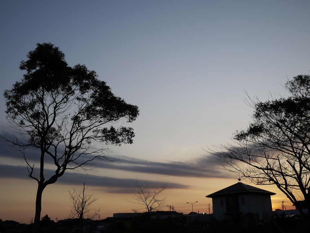 f:id:doinotouchan01:20191111210848j:plain