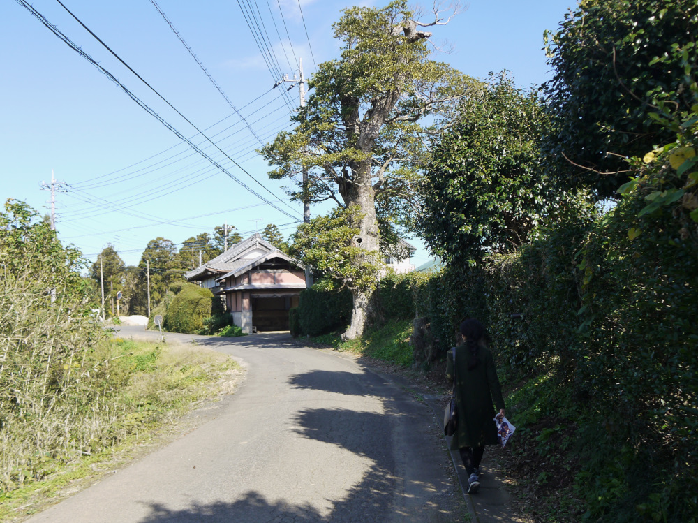 f:id:doinotouchan01:20191118203426j:plain