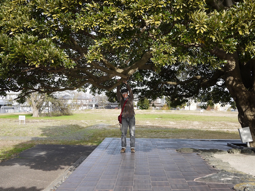 f:id:doinotouchan01:20191216211922j:plain