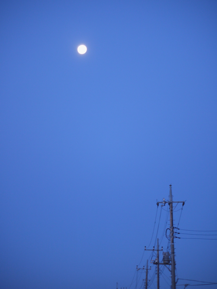f:id:doinotouchan01:20200212210638j:plain