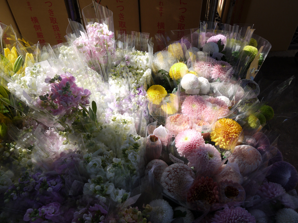 f:id:doinotouchan01:20200315092810j:plain