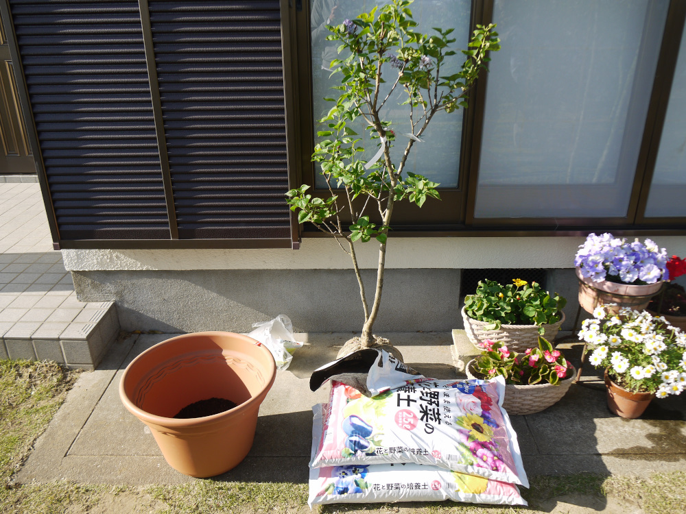 f:id:doinotouchan01:20200428220943j:plain