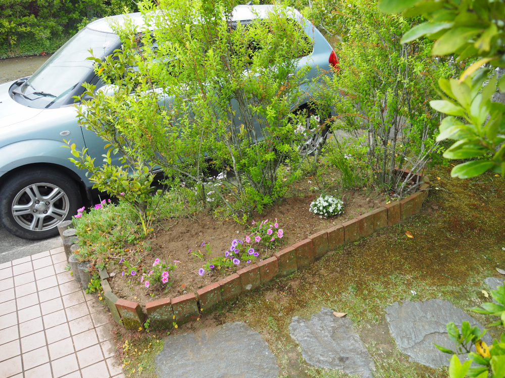 f:id:doinotouchan01:20200517213749j:plain