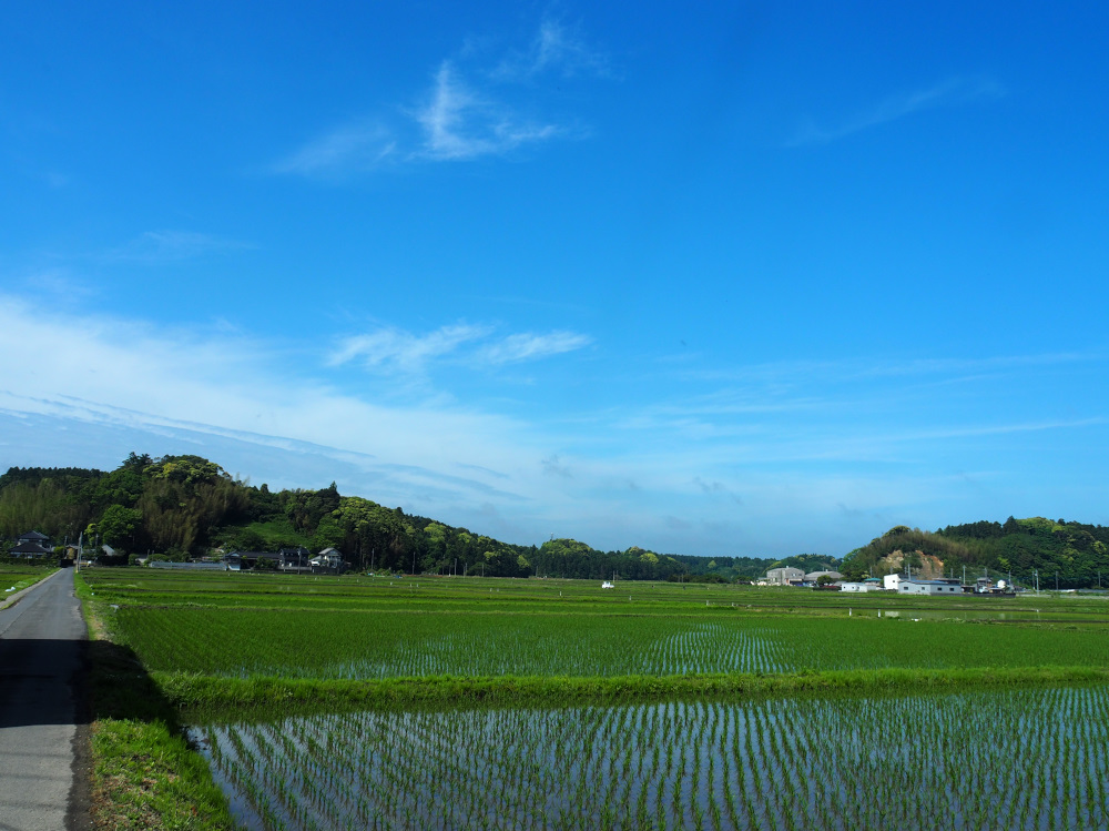 f:id:doinotouchan01:20200517214356j:plain