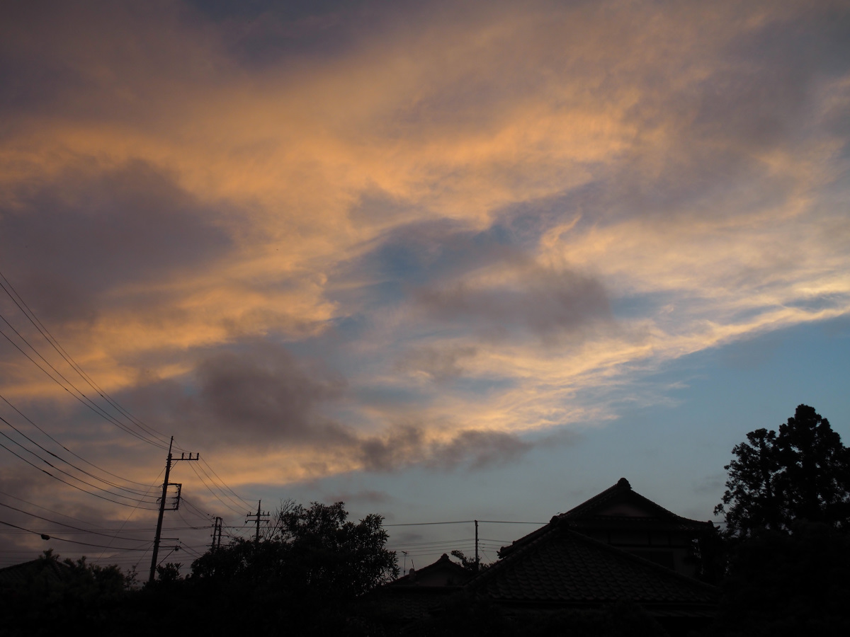 f:id:doinotouchan01:20200623210337j:plain