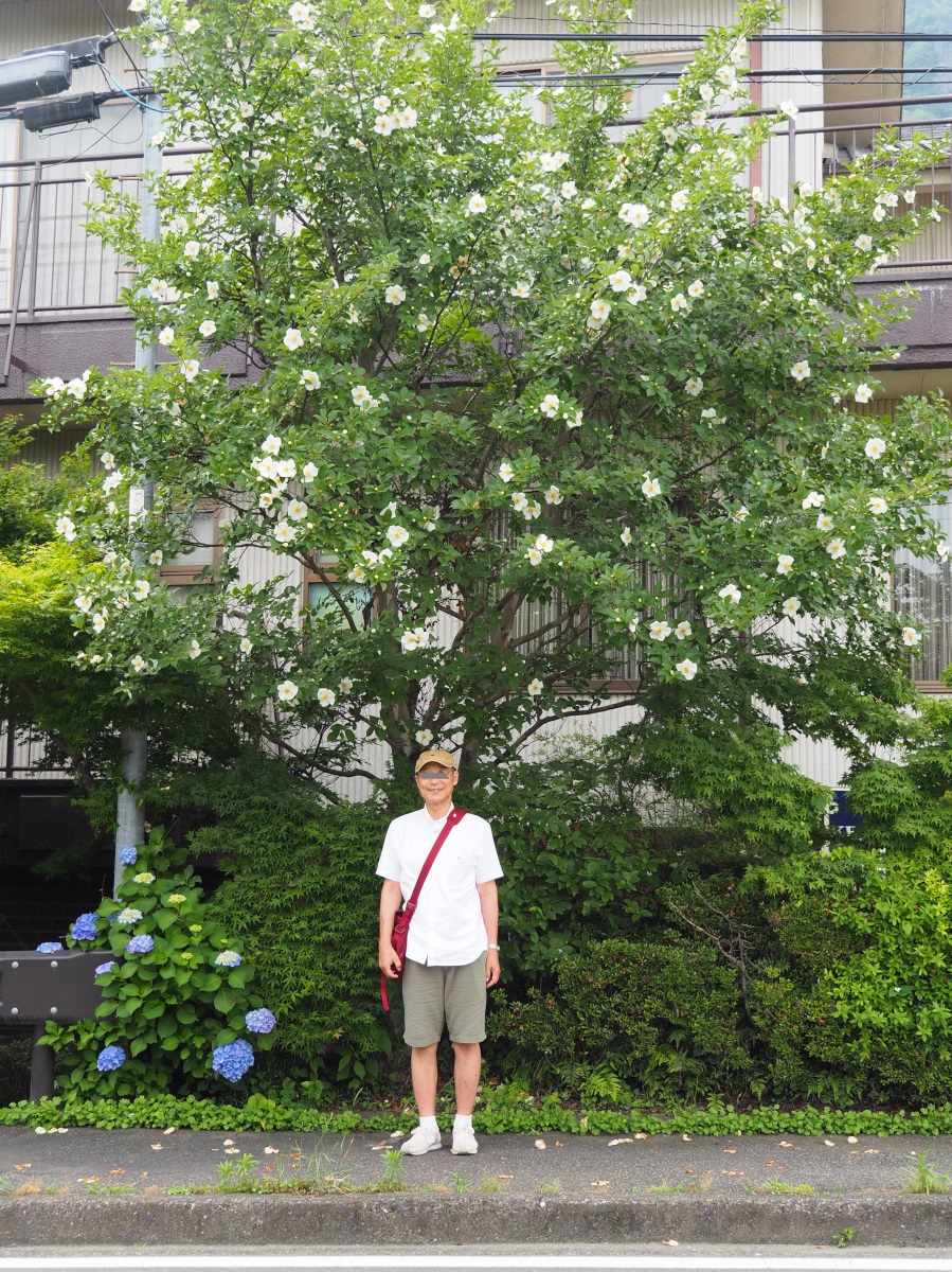 f:id:doinotouchan01:20200629210620j:plain