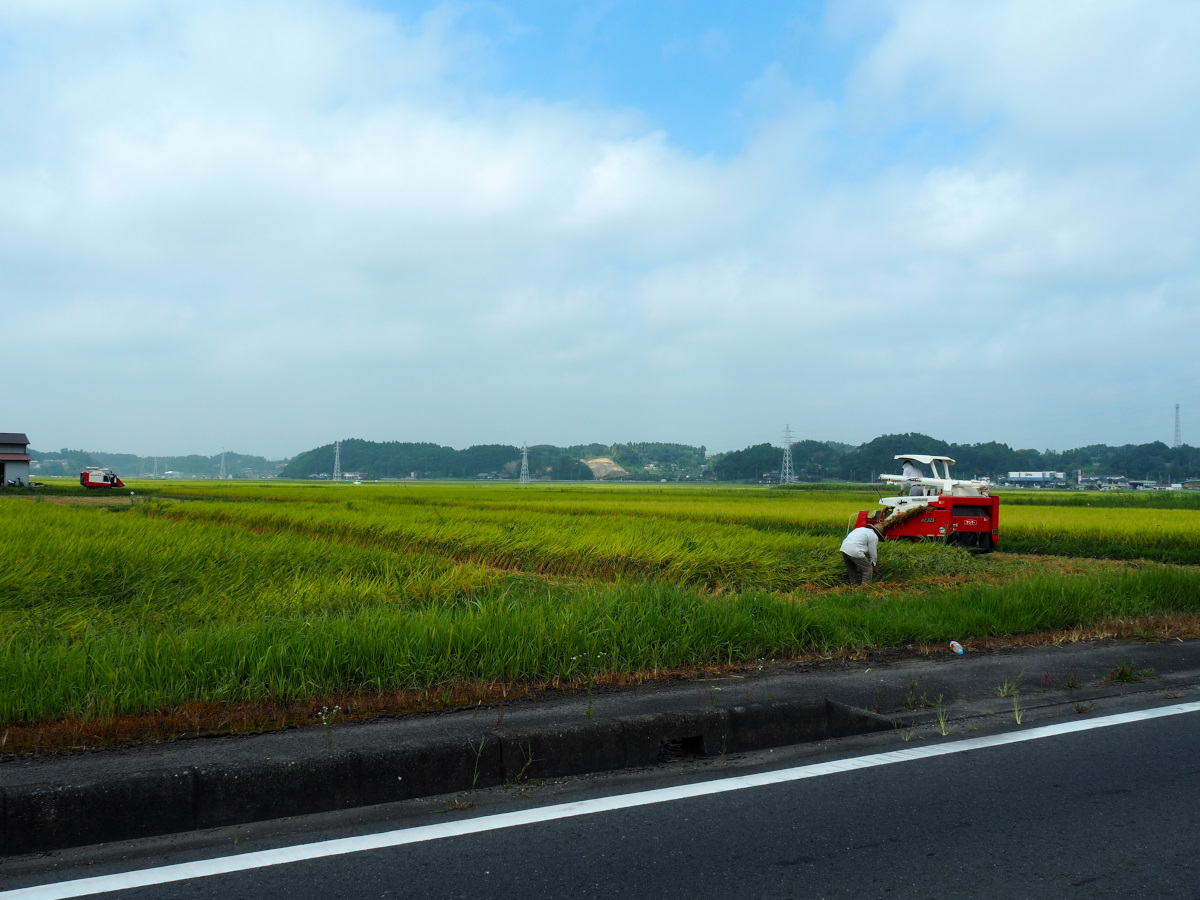 f:id:doinotouchan01:20200823124542j:plain