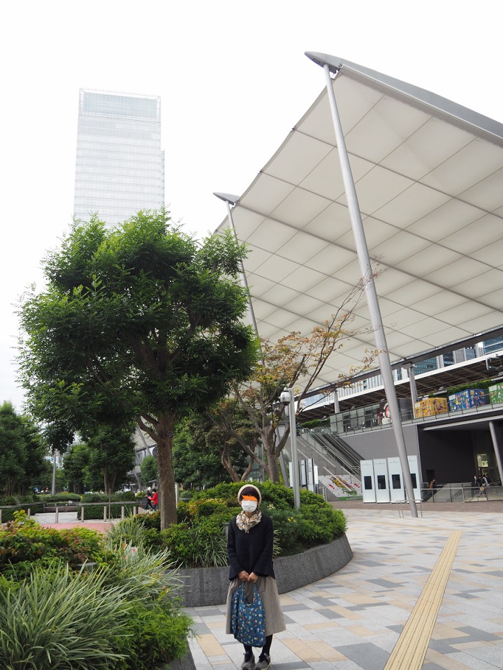f:id:doinotouchan01:20201103123710j:plain f:id:doinotouchan01:20201103123710j:plain