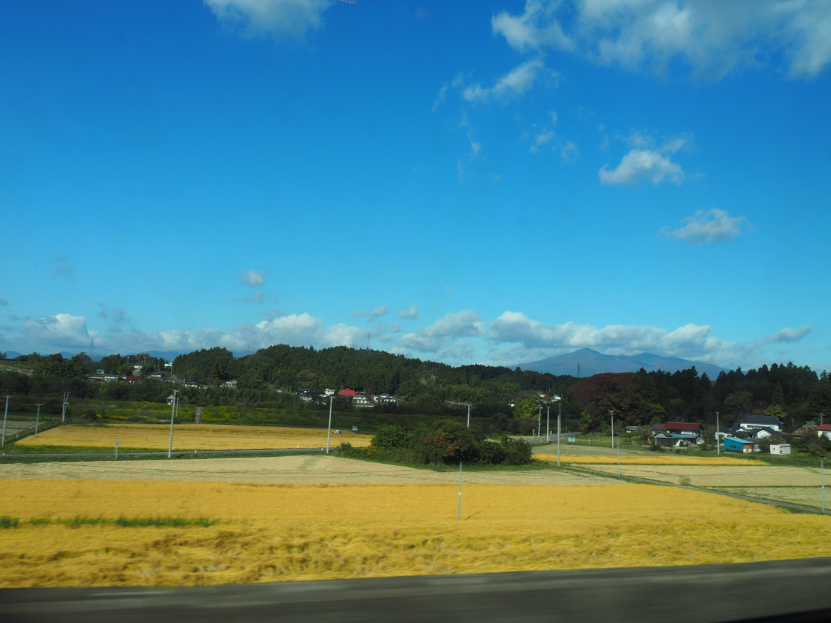 f:id:doinotouchan01:20201103123932j:plain f:id:doinotouchan01:20201103123932j:plain