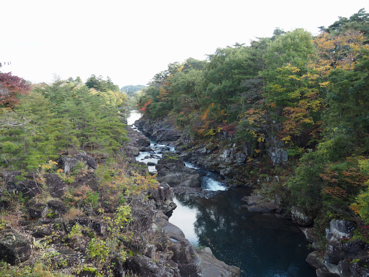 f:id:doinotouchan01:20201103124043j:plain f:id:doinotouchan01:20201103124043j:plain