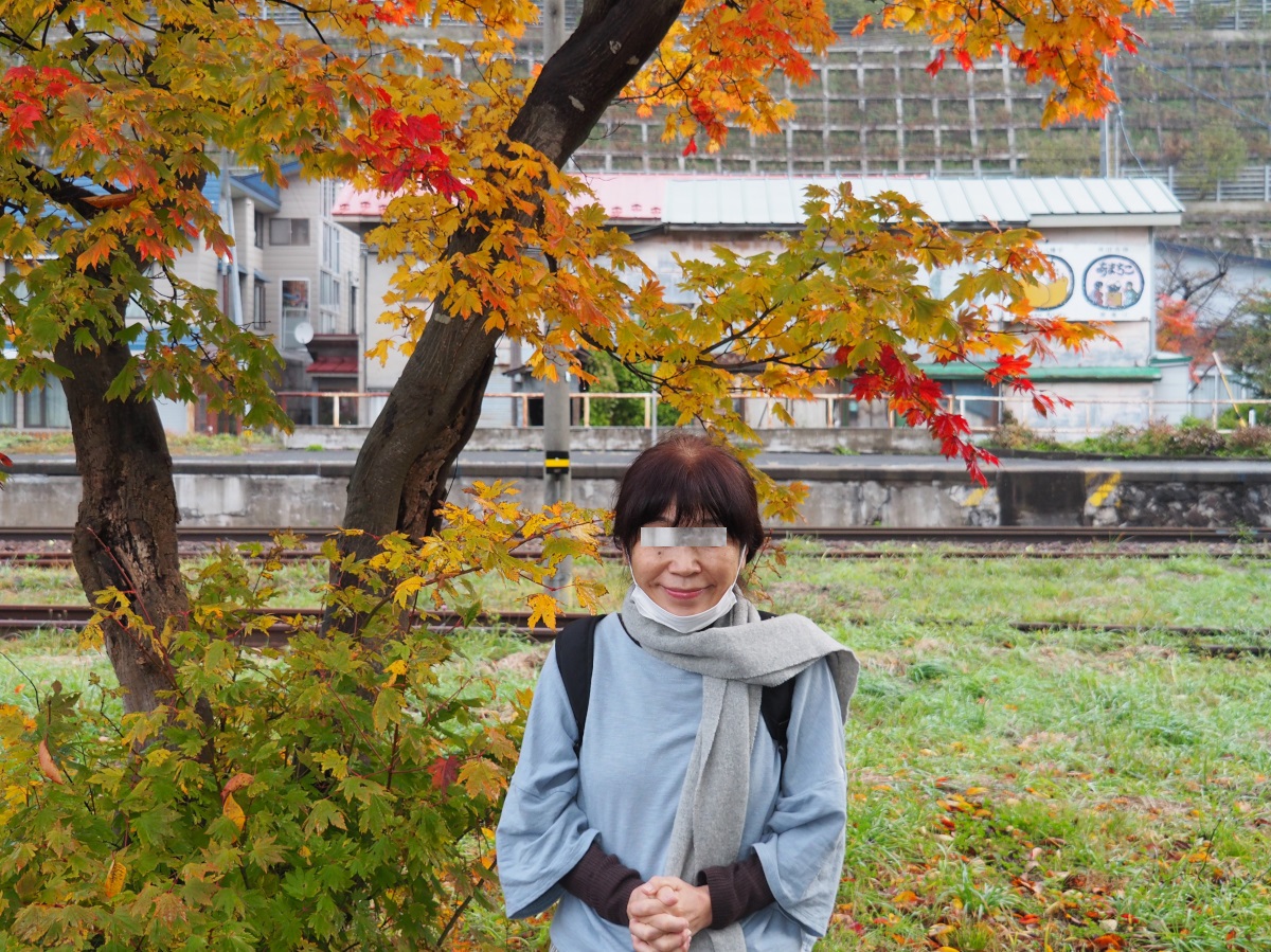 f:id:doinotouchan01:20201103200443j:plain