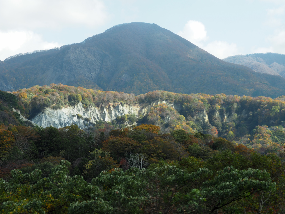f:id:doinotouchan01:20201103201525j:plain