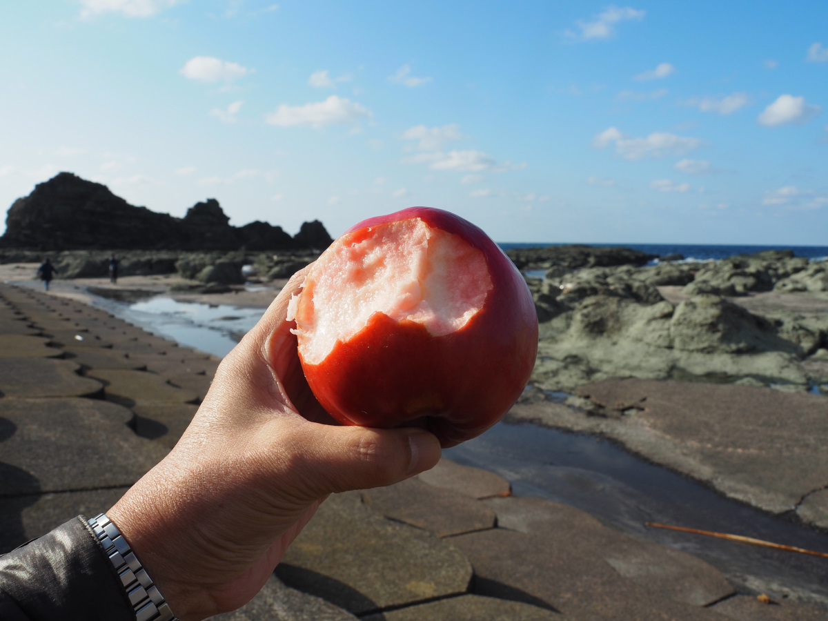 f:id:doinotouchan01:20201103202015j:plain