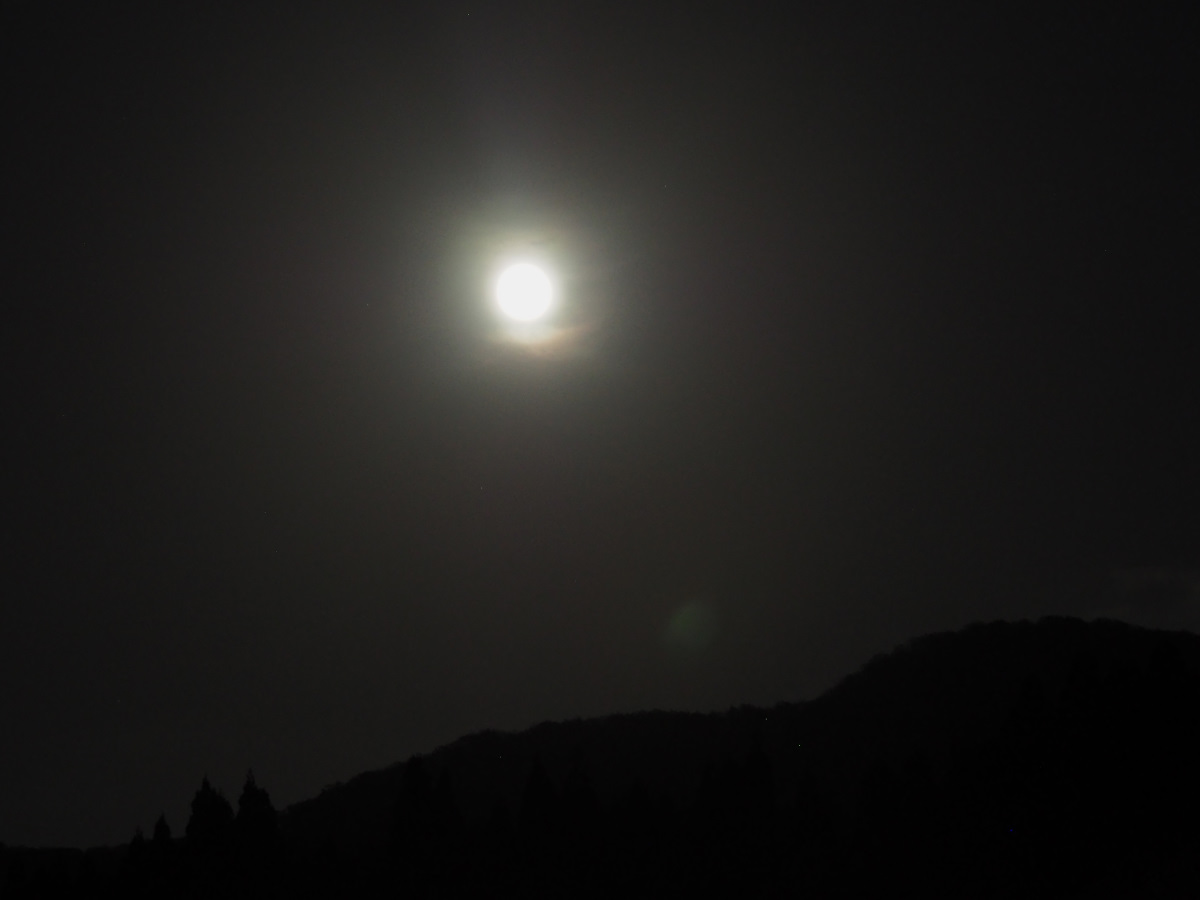 f:id:doinotouchan01:20201103202308j:plain