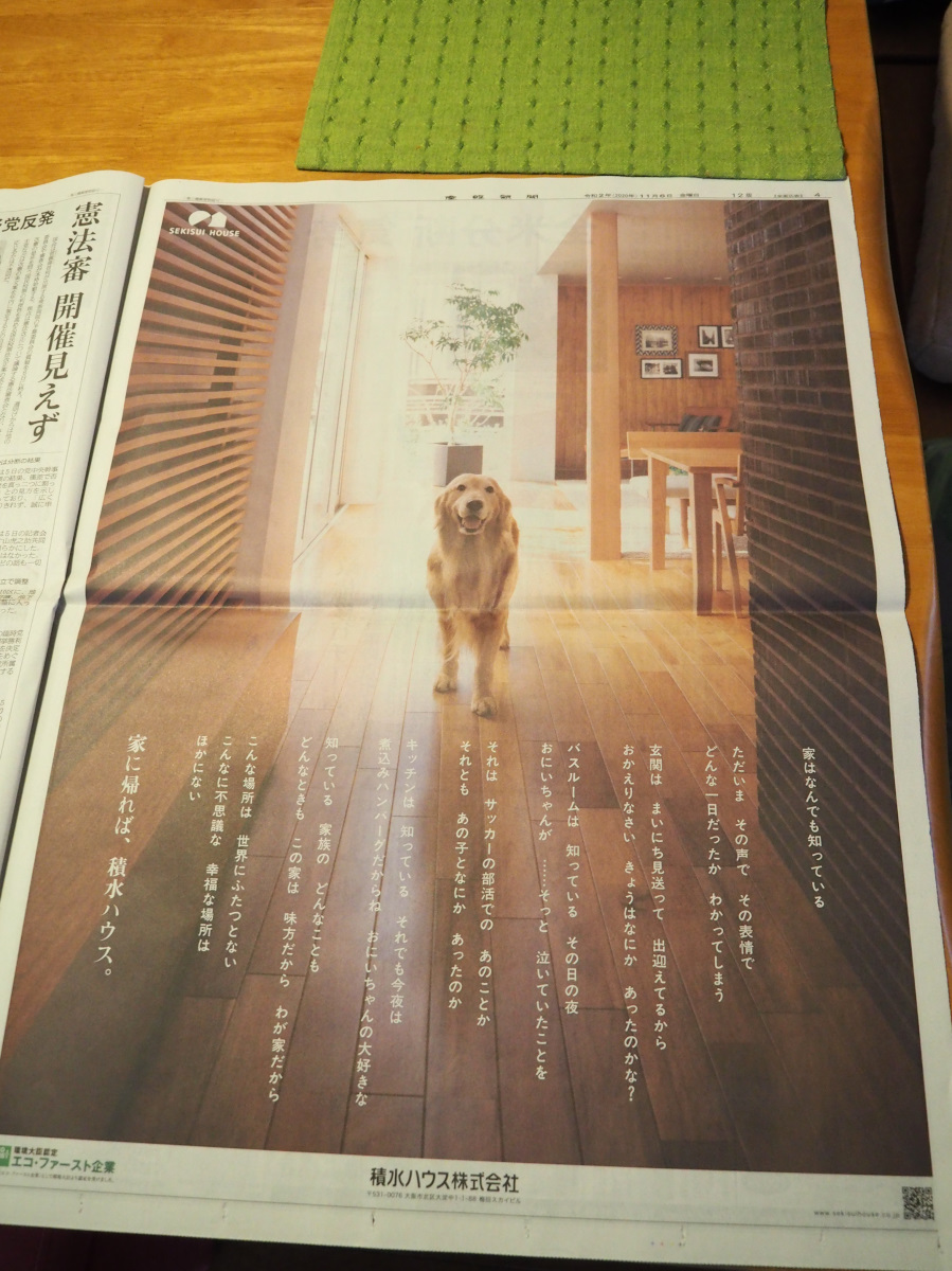 f:id:doinotouchan01:20201108085433j:plain