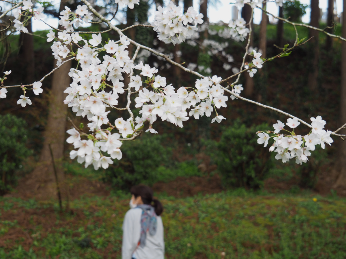 f:id:doinotouchan01:20210329204347j:plain