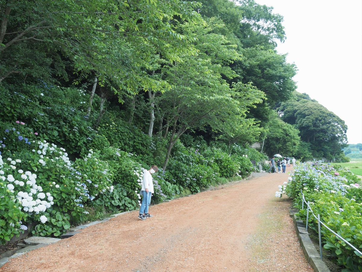 f:id:doinotouchan01:20210608205645j:plain