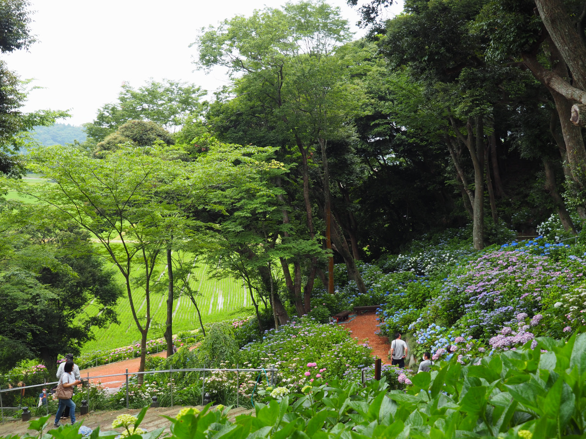 f:id:doinotouchan01:20210608205807j:plain