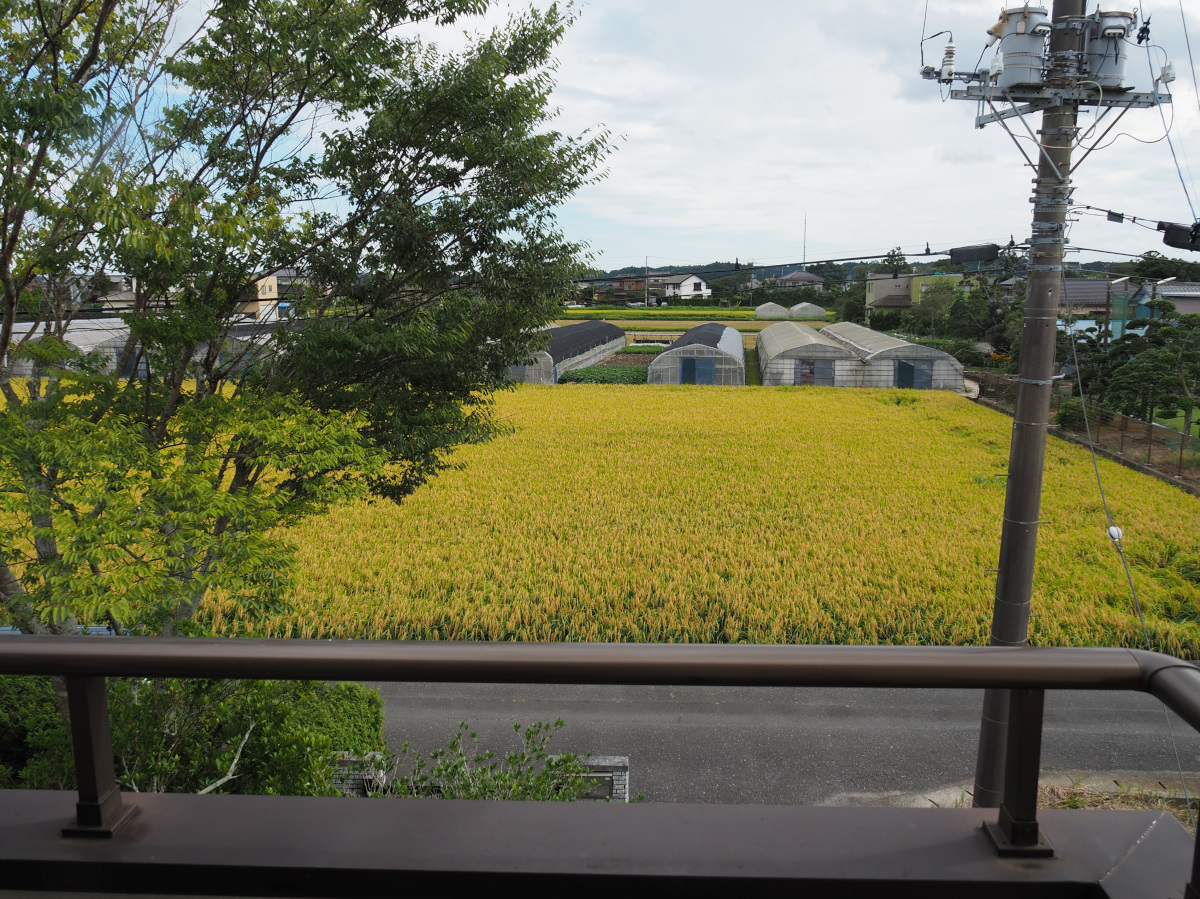 f:id:doinotouchan01:20210823110659j:plain
