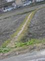 20071206_01