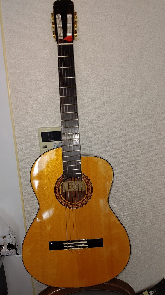 f:id:doiyanneko:20201017133426j:plain f:id:doiyanneko:20201017133426j:plain