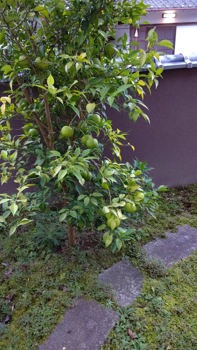 f:id:doiyanneko:20211021141218j:plain