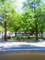 大通公園