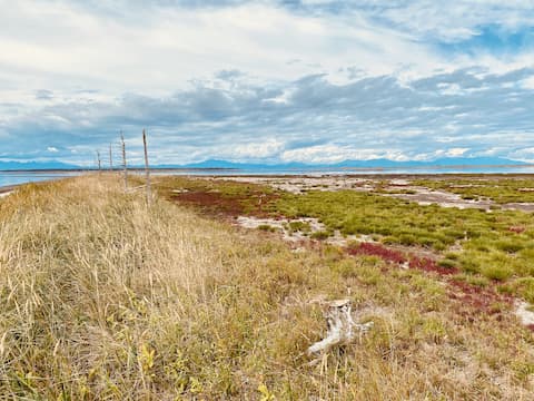 野付半島トドワラ到着