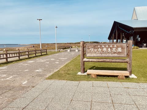 サロマ湖畔の「ワッカ原生花園」