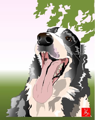 ボーダーコリーのエクセル画