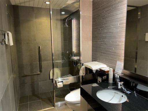 f:id:dokenman:20210527125314j:image