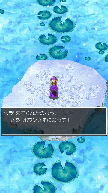 ポワン様からのお願い - DQ5