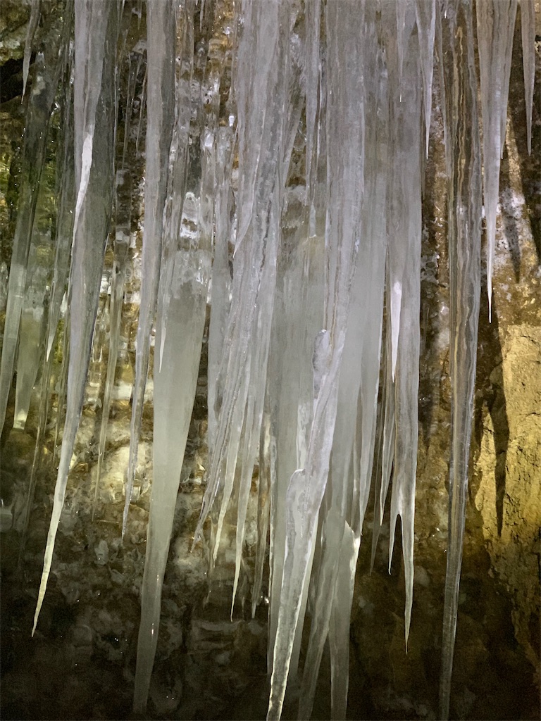 f:id:dokidokiayano:20190211025530j:image f:id:dokidokiayano:20190211025530j:image