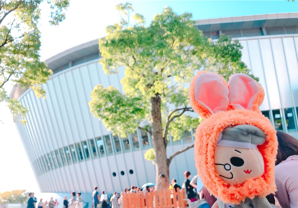 f:id:dokidokisleep:20180316232747j:image f:id:dokidokisleep:20180316232747j:image