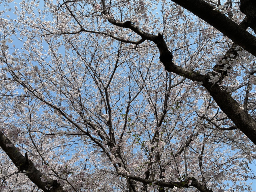 f:id:dokincharin:20260525220939j:image f:id:dokincharin:20260525220939j:image