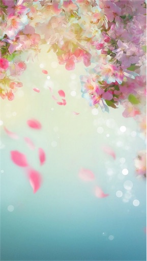 f:id:dokiwaku_everyday:20180321211242j:image f:id:dokiwaku_everyday:20180321211242j:image