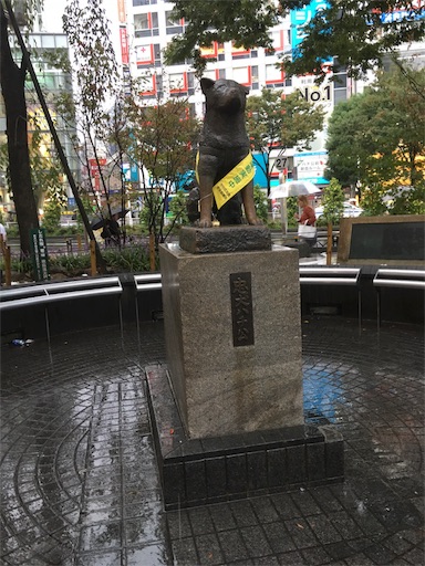 f:id:dokiwaku_everyday:20180928220034j:image f:id:dokiwaku_everyday:20180928220034j:image