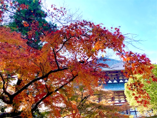 f:id:dokiwaku_everyday:20201120115422j:plain