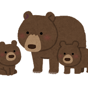 f:id:dokkoiman:20200409170526p:plain
