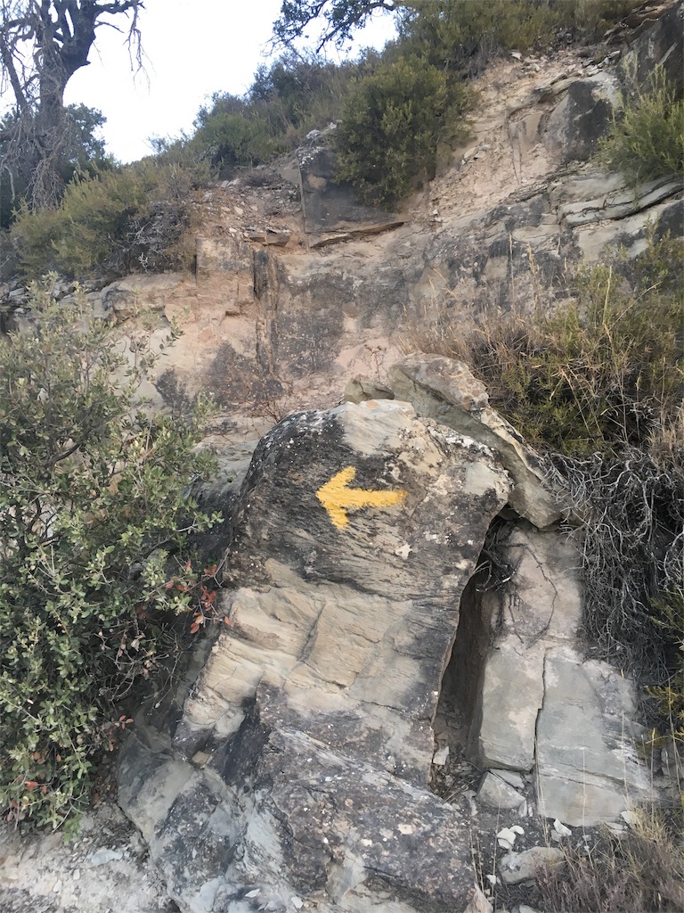 f:id:dokodeneru:20170829031537j:image f:id:dokodeneru:20170829031537j:image