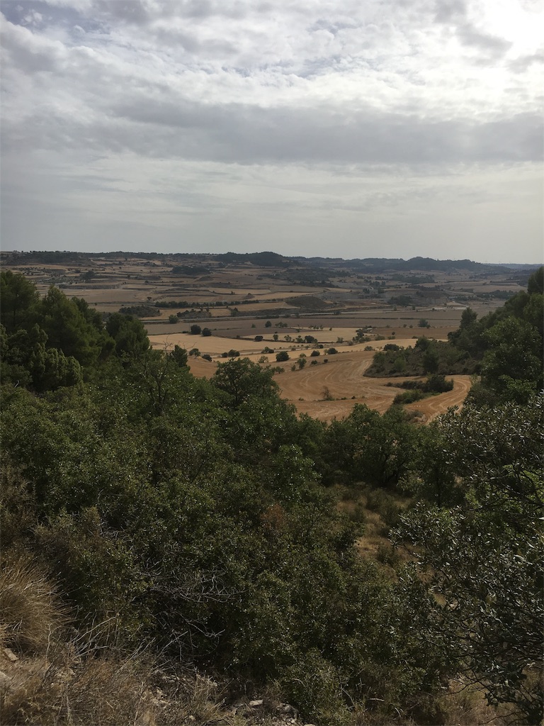 f:id:dokodeneru:20170829031737j:image f:id:dokodeneru:20170829031737j:image