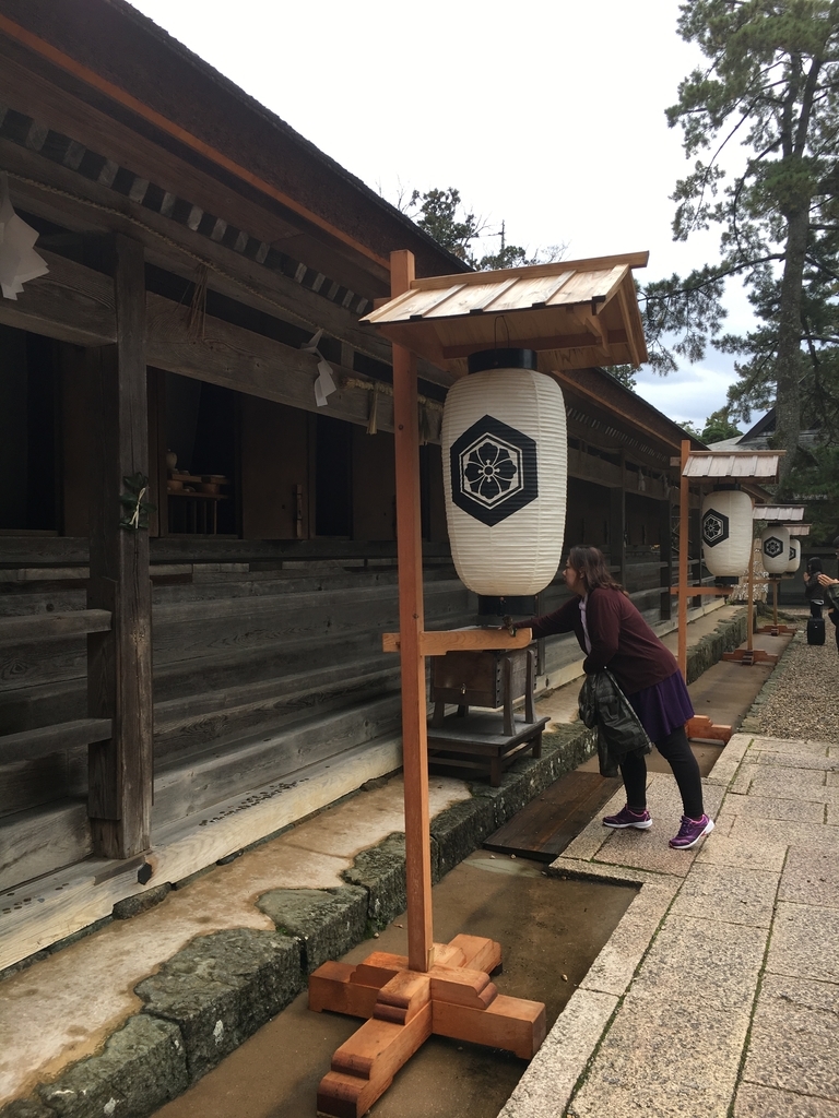 f:id:dokodeneru:20181119193959j:plain f:id:dokodeneru:20181119193959j:plain